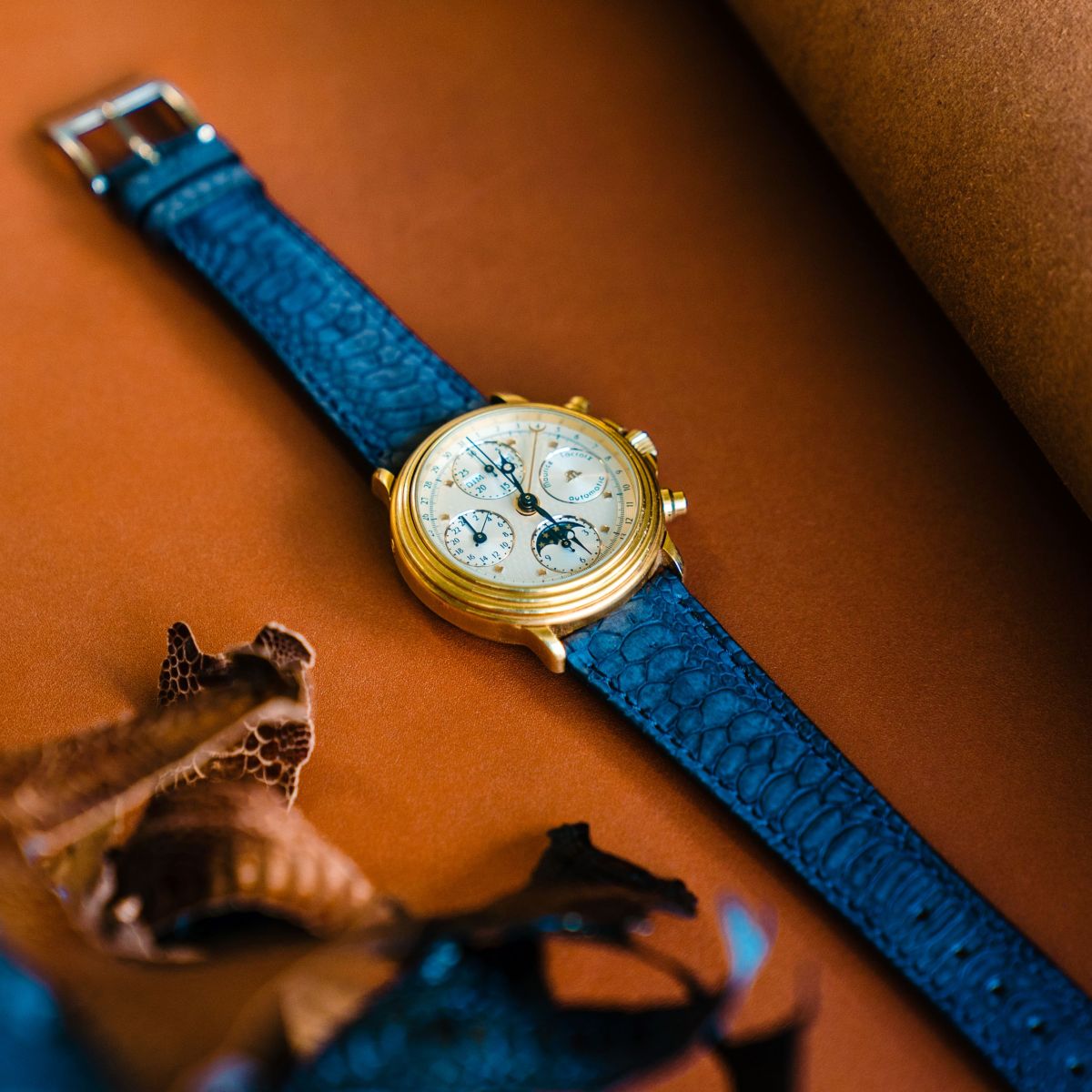 Bracelets montre cuir HIRSCH Alligator de Louisiane