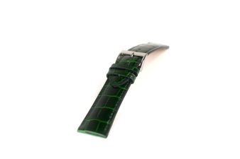 Alligator Glossy Bos Groen